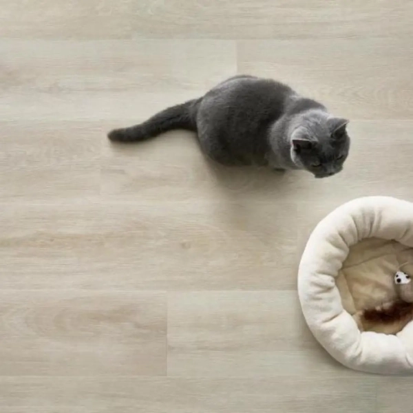 Afirmax Legnar Acoustic Eiken Alba – klik PVC met ondervloer