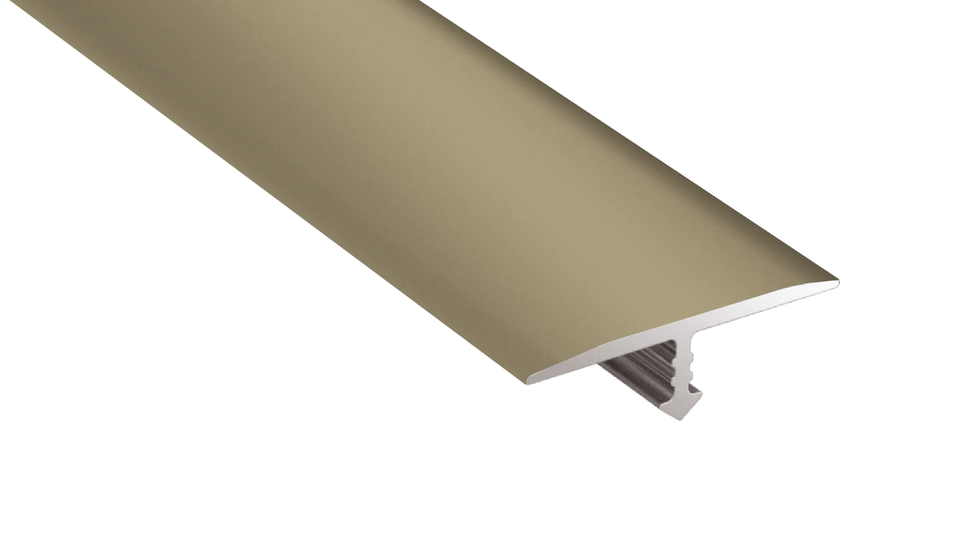 Smal overgangsprofiel hoogteverschil Arbiton CS22 – titanium – 22mm x 186cm